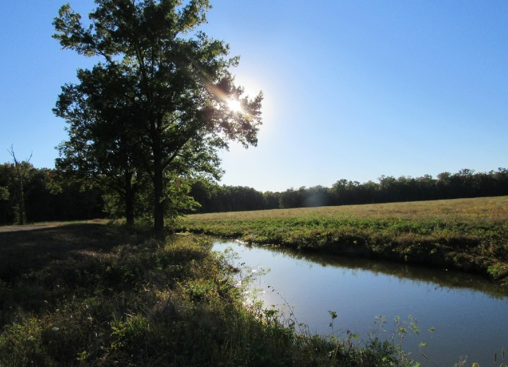 Herp Habitat